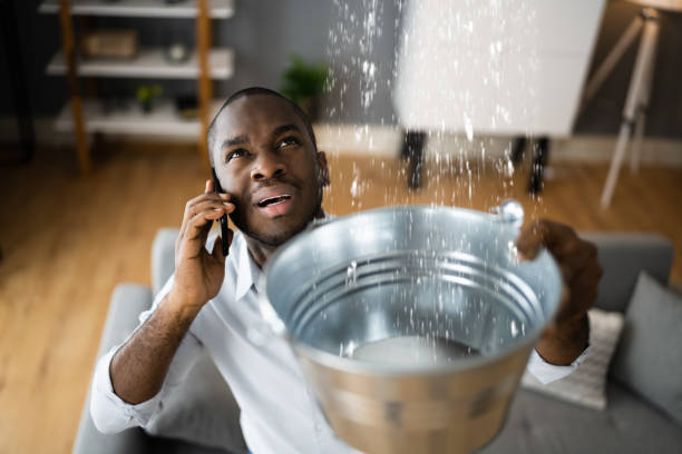 Best Flooded house restoration  in Ixonia, WI