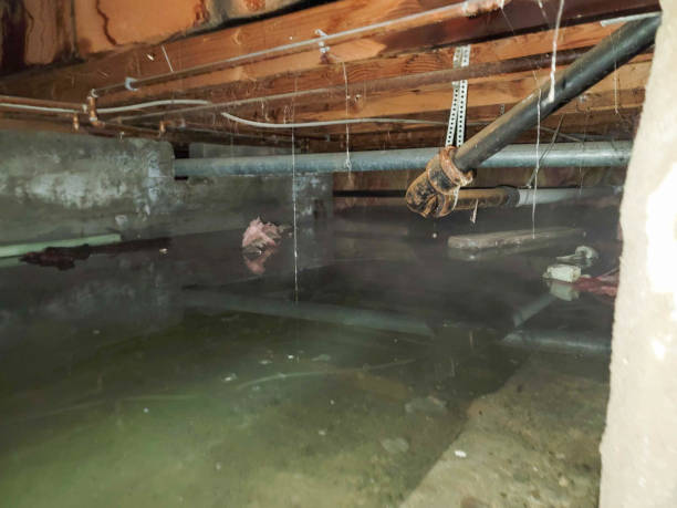 Best Water damage restoration near me  in Ixonia, WI