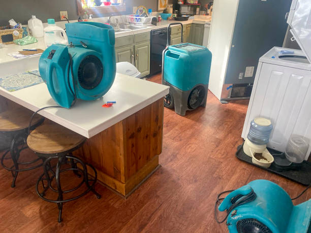 Best Water damage contractors near me  in Ixonia, WI
