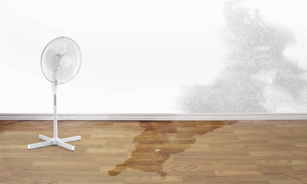 Best Water damage restoration near me  in Ixonia, WI
