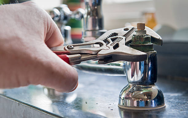 Best Flooded house restoration  in Ixonia, WI