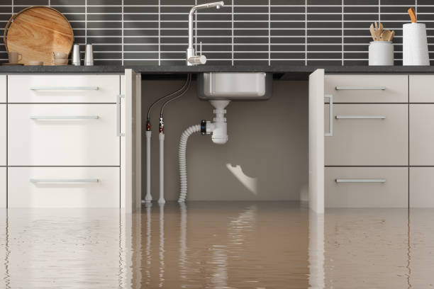 Best Water damage restoration process  in Ixonia, WI
